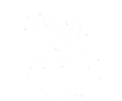 ביה"ס פלגים