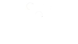 Digital Reach - ניהול קמפיינים פרסומיים