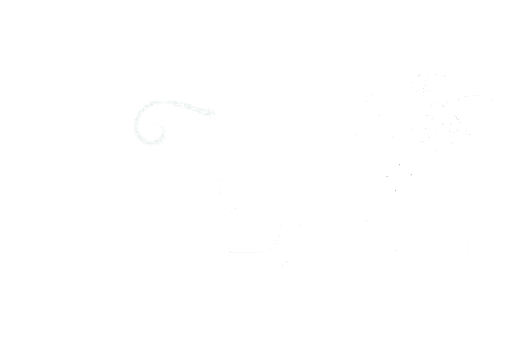 מישור - ביטוח, פנסיה ופיננסים