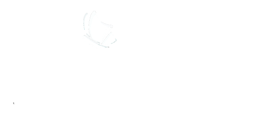 אורלי ורנר טיפול רגשי
