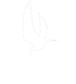 מוח אחד - רחל רודין פתרונות פרודוקטיביים