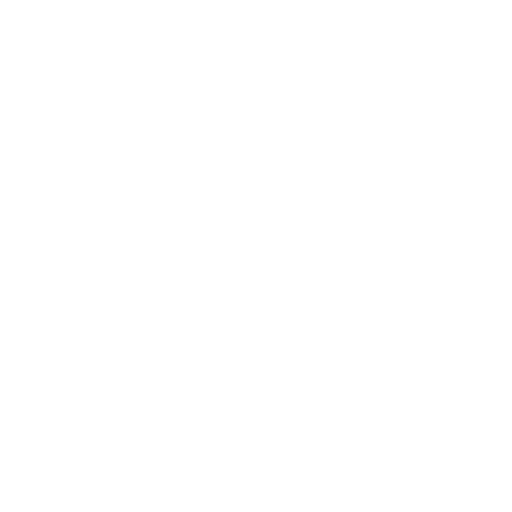 רותי באום -  Nlp Master