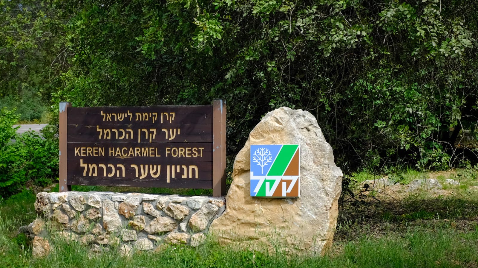 חניון שער הכרמל