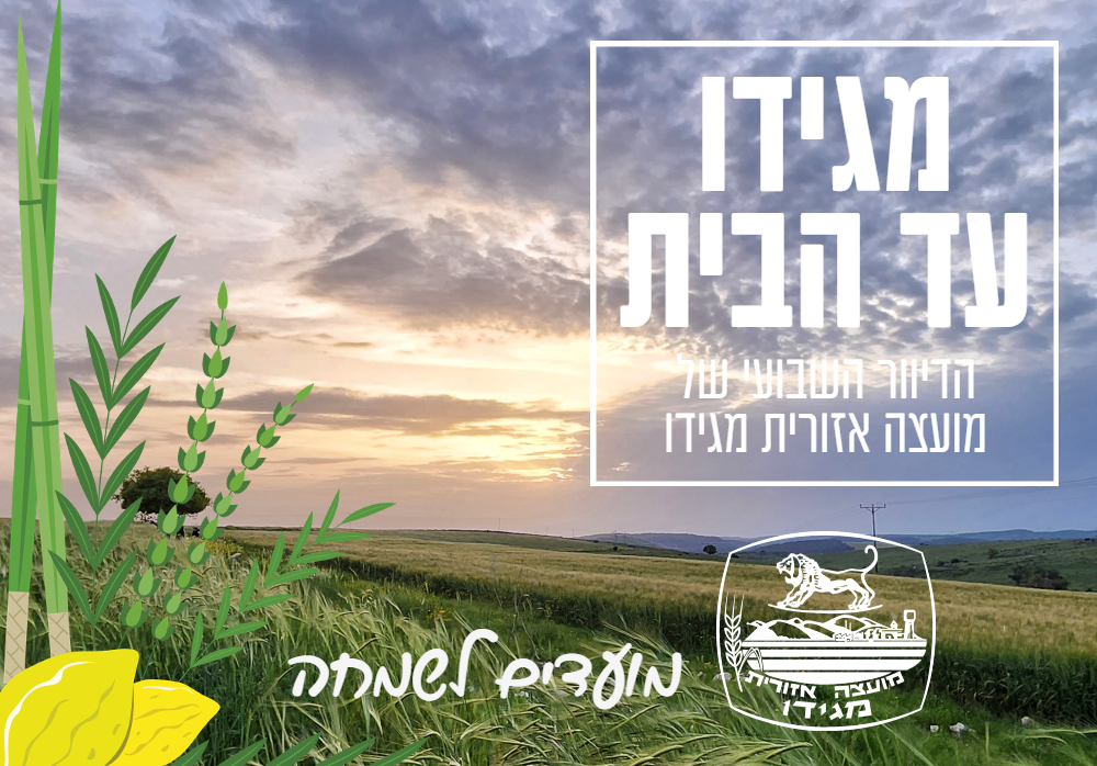 סוכות